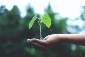 EU ESG regulation